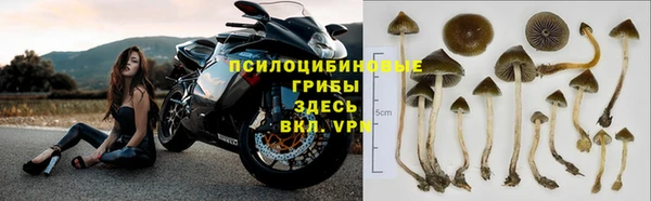 прущие крисы Алексеевка
