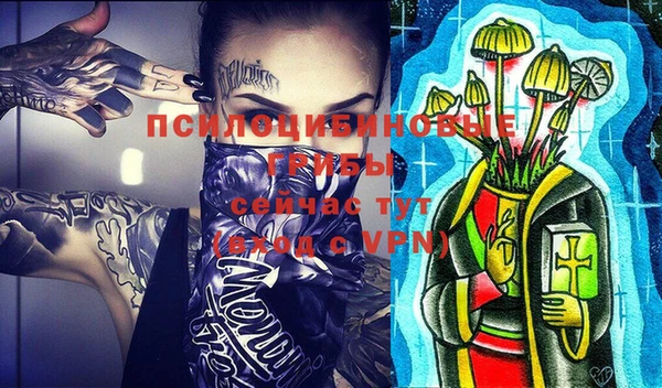 прущие крисы Алексин