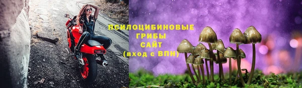 прущие крисы Алексеевка