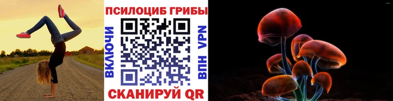 как найти закладки  МЕГА как войти  Псилоцибиновые грибы прущие грибы  Волоколамск 